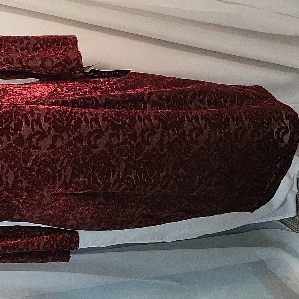 SLNY Deep Red Velvet Dress - Picture 3 of 7